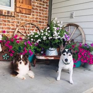 Meet your Posher, Becky